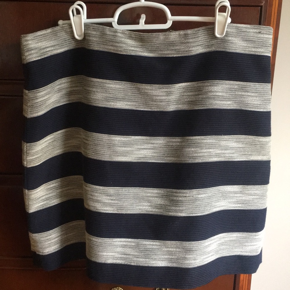 Ann Taylor Loft Skirt